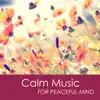 Calm Music Ensemble - Calm Music for Peaceful Mind - Relaxing Meditation Music & Yoga Sleep Music for Stress Relief and Healing